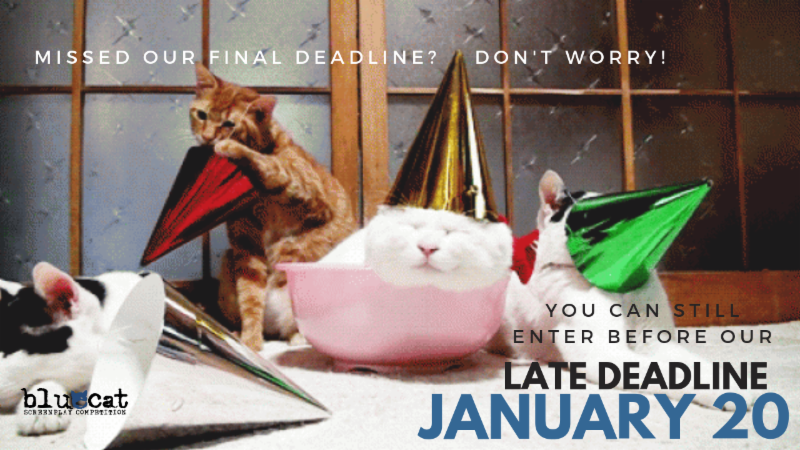 Late Deadline: January 20