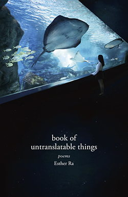 book of untranslatable things