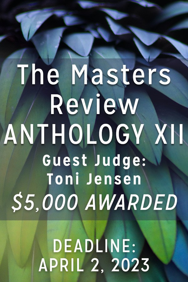 The Masters Review Anthology XII