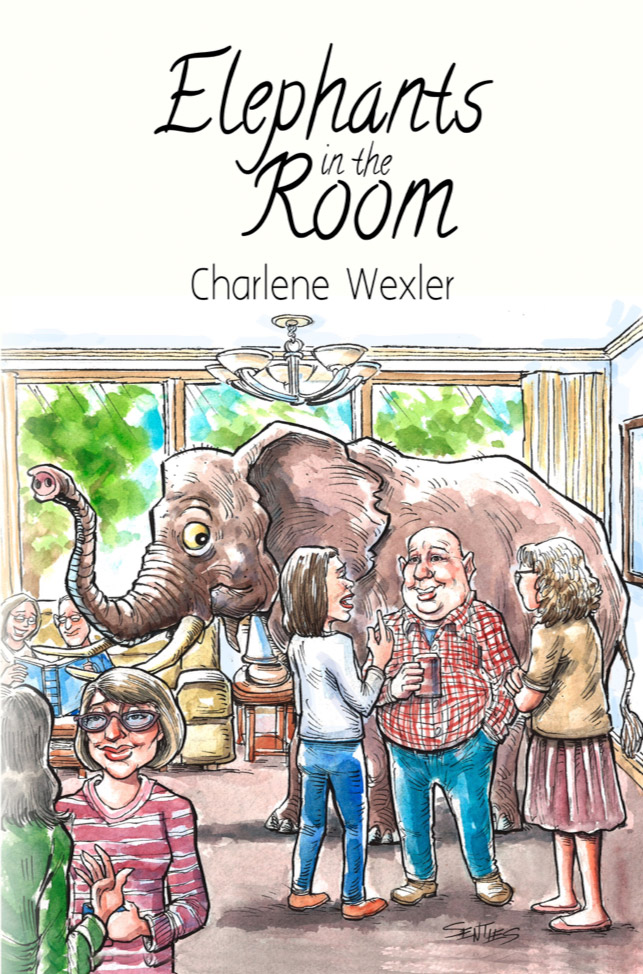 Elephants in the Room