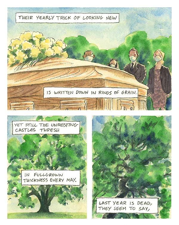 The Trees 3 of 4