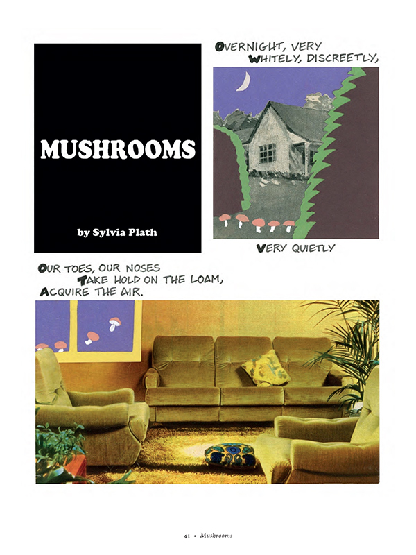 Mushrooms, 1 of 5