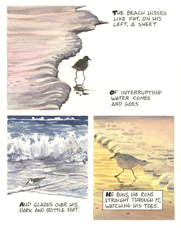 A sample from Nature Poems to See By